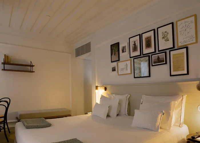 Hôtel accueillant les animaux: Lisboa Pessoa Hotel